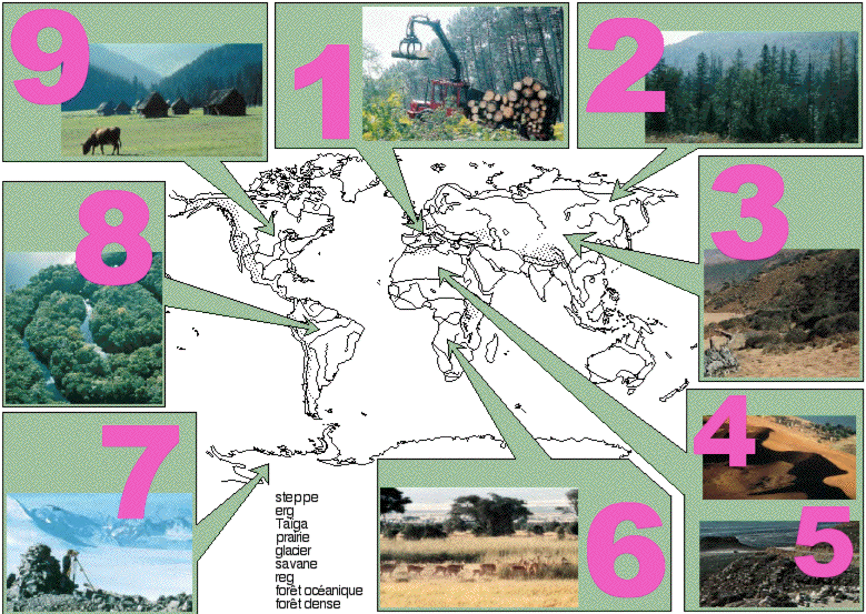 Carte des milieux