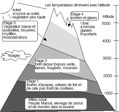 Etagement de la végétation en montagne