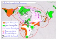 G4-03A-Planisphere.jpg